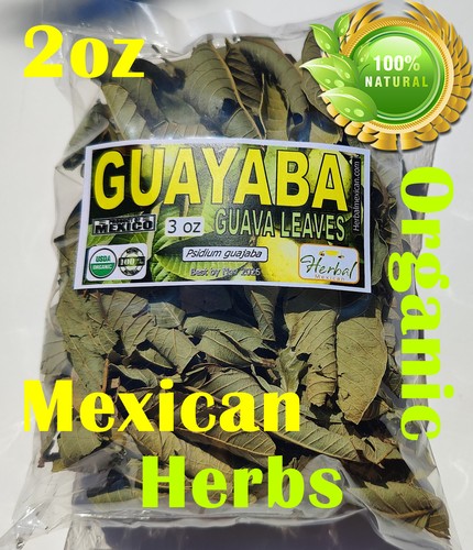 Hojas guayaba mexican guava - hojas,